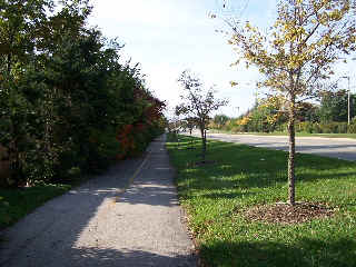 algonquin-road-trail320/100_6722.JPG (62438 bytes)