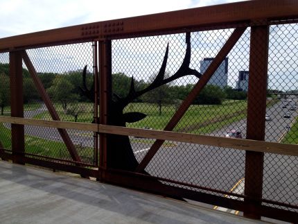 inside view of elk head on bridge